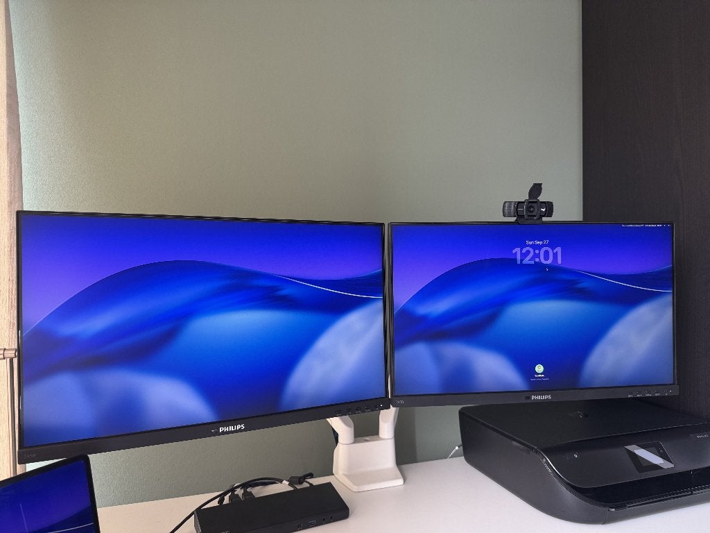 2x Philips 24" QHD IPS monitor + Neomounts monitorarm dubbel, Ophalen, Philips, Gebruikt, DisplayPort