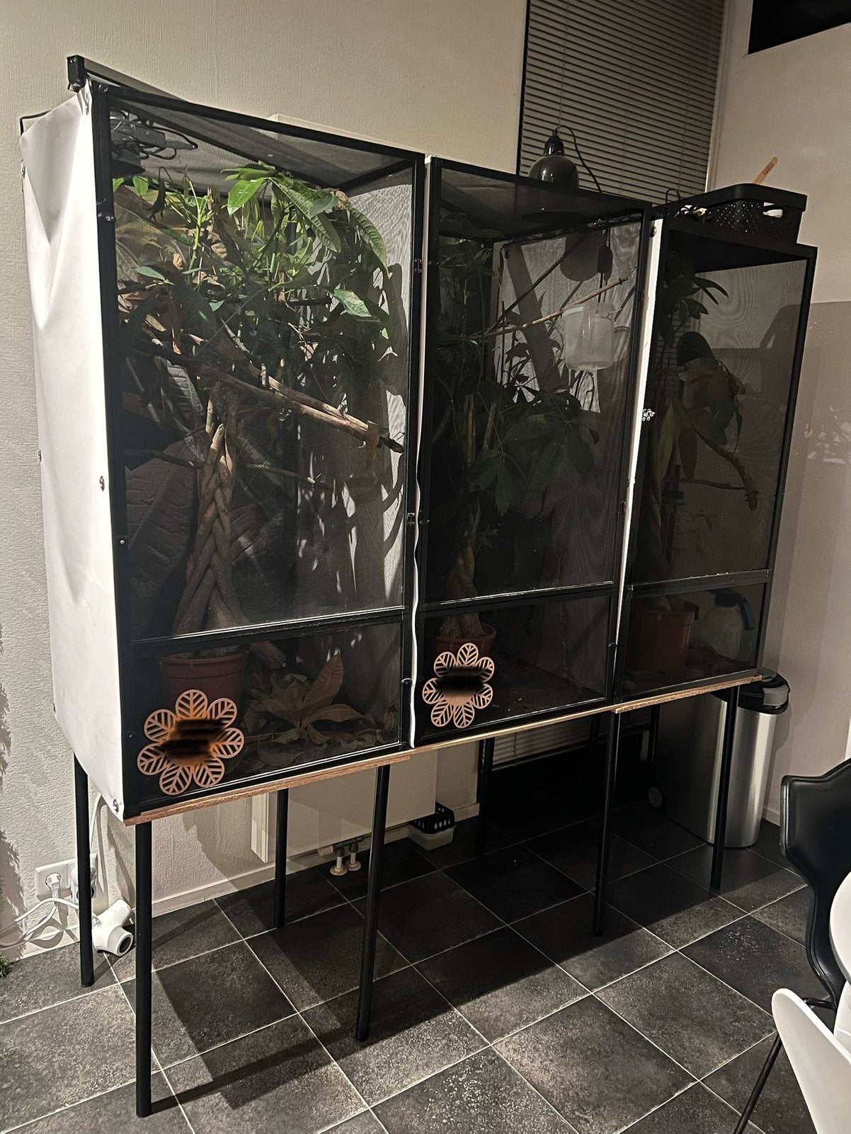 3 x Zoomed Reptibreeze screenverblijven 2x XL en 1x L), Dieren en Toebehoren, Ophalen, Zo goed als nieuw