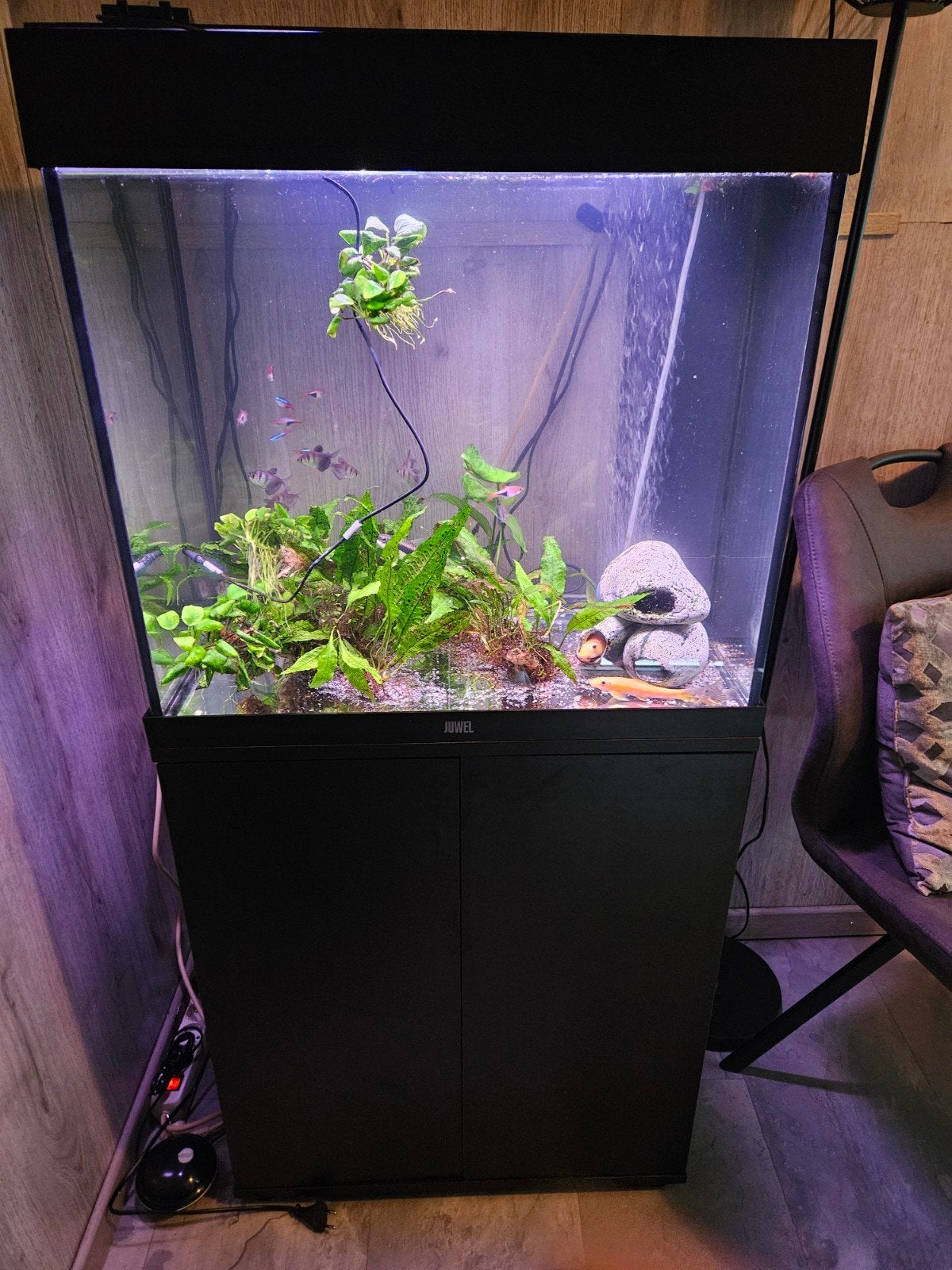 juwel lido 120, Dieren en Toebehoren, Vissen | Aquaria en Toebehoren, Ophalen, Gebruikt, Leeg aquarium, Juwel