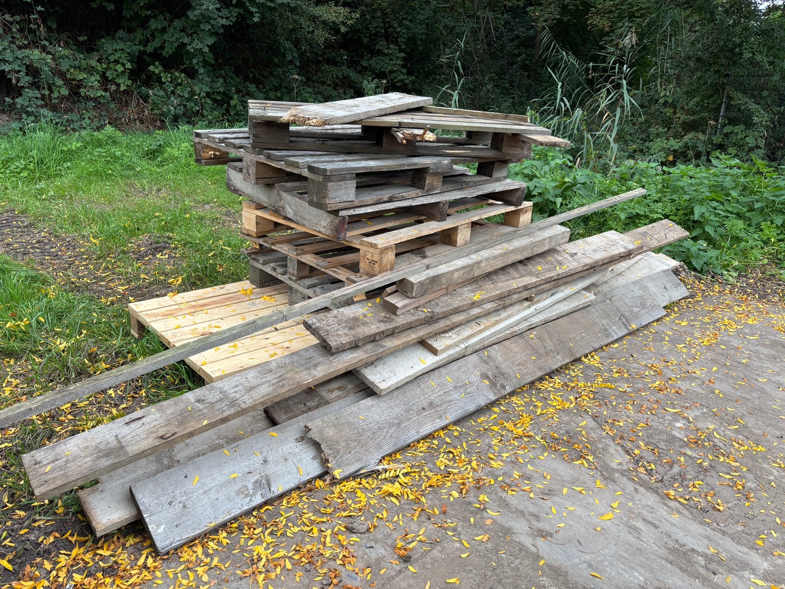 Gratis kachelhout, haardhout, hout, Ophalen, Gebruikt, Pallet, Minder dan 200 cm