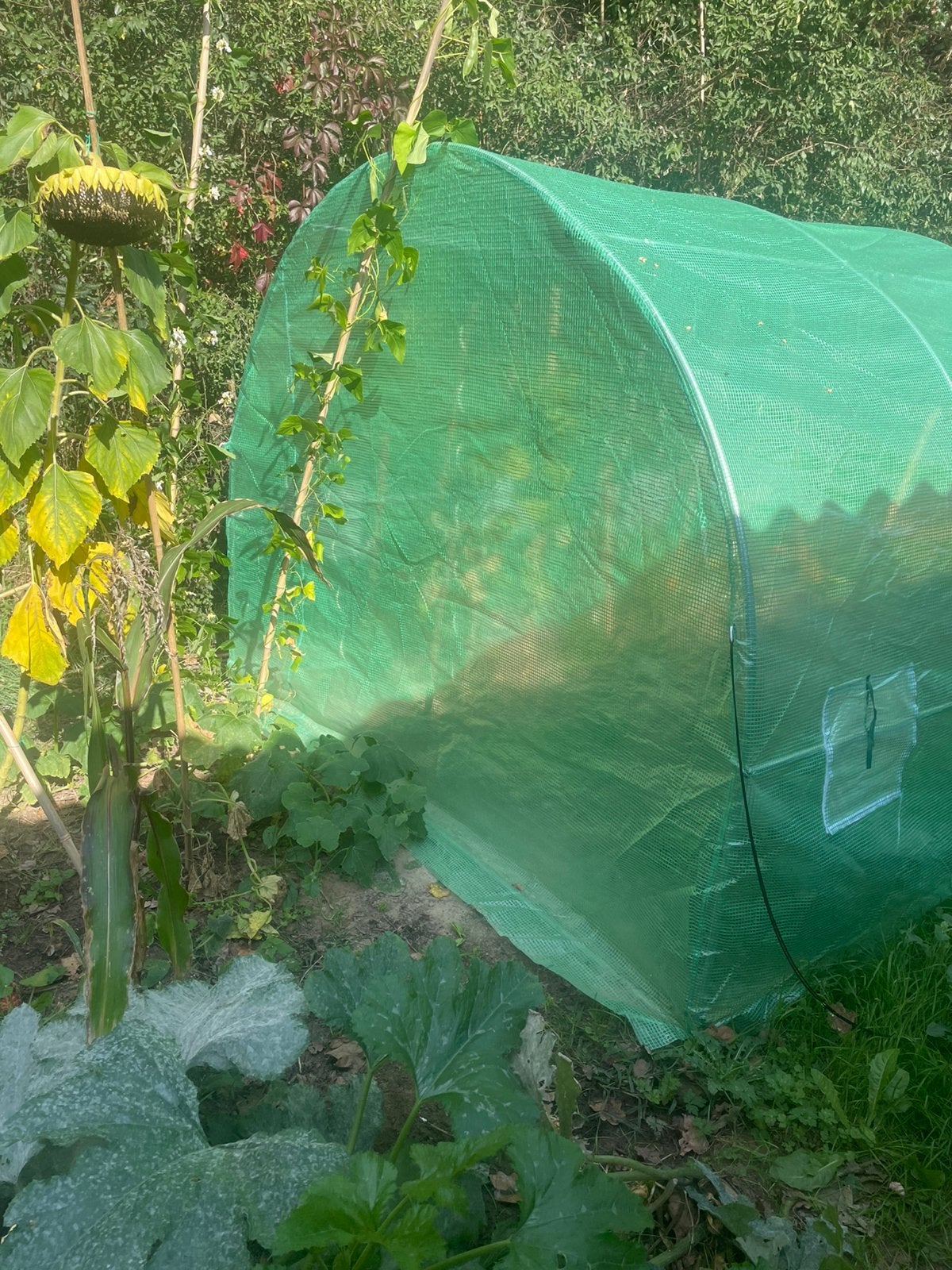 Tuinkas nog nieuw, Tuin en Terras, Ophalen, Folie, Zo goed als nieuw, Aluminium