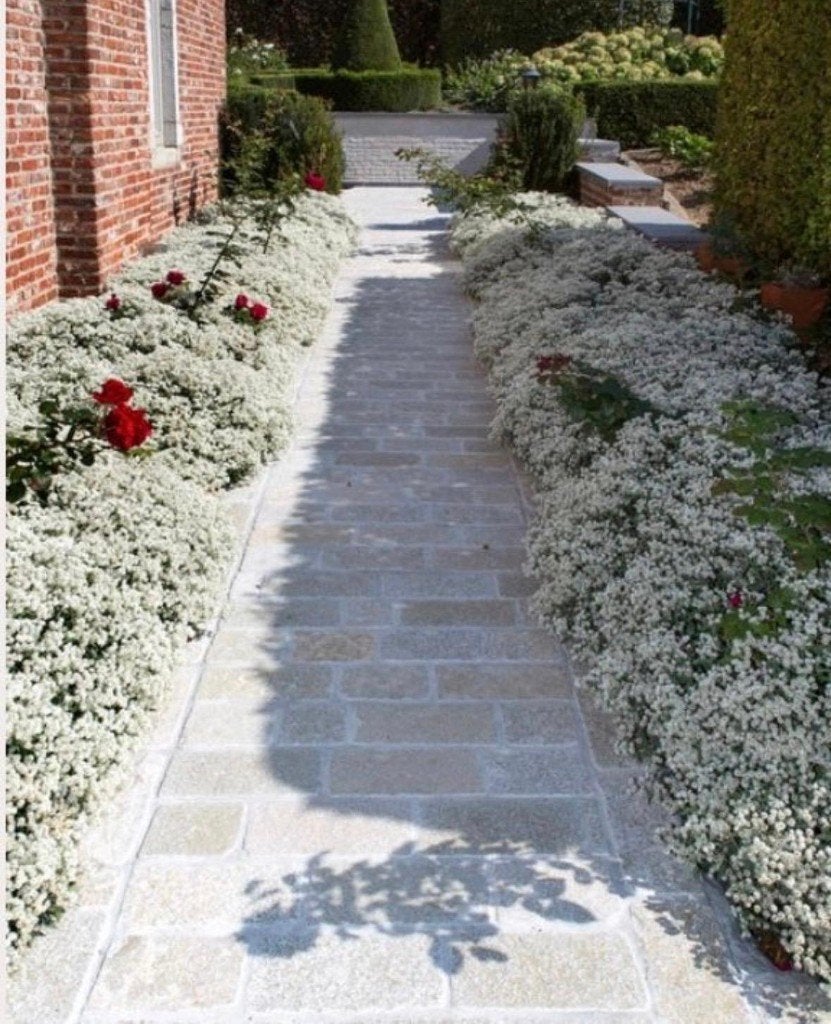 kinderkoppen Castle Stone Beige 20x14x5/7 cm gekapt, Ophalen of Verzenden, Nieuw, Natuursteen, Klinkers