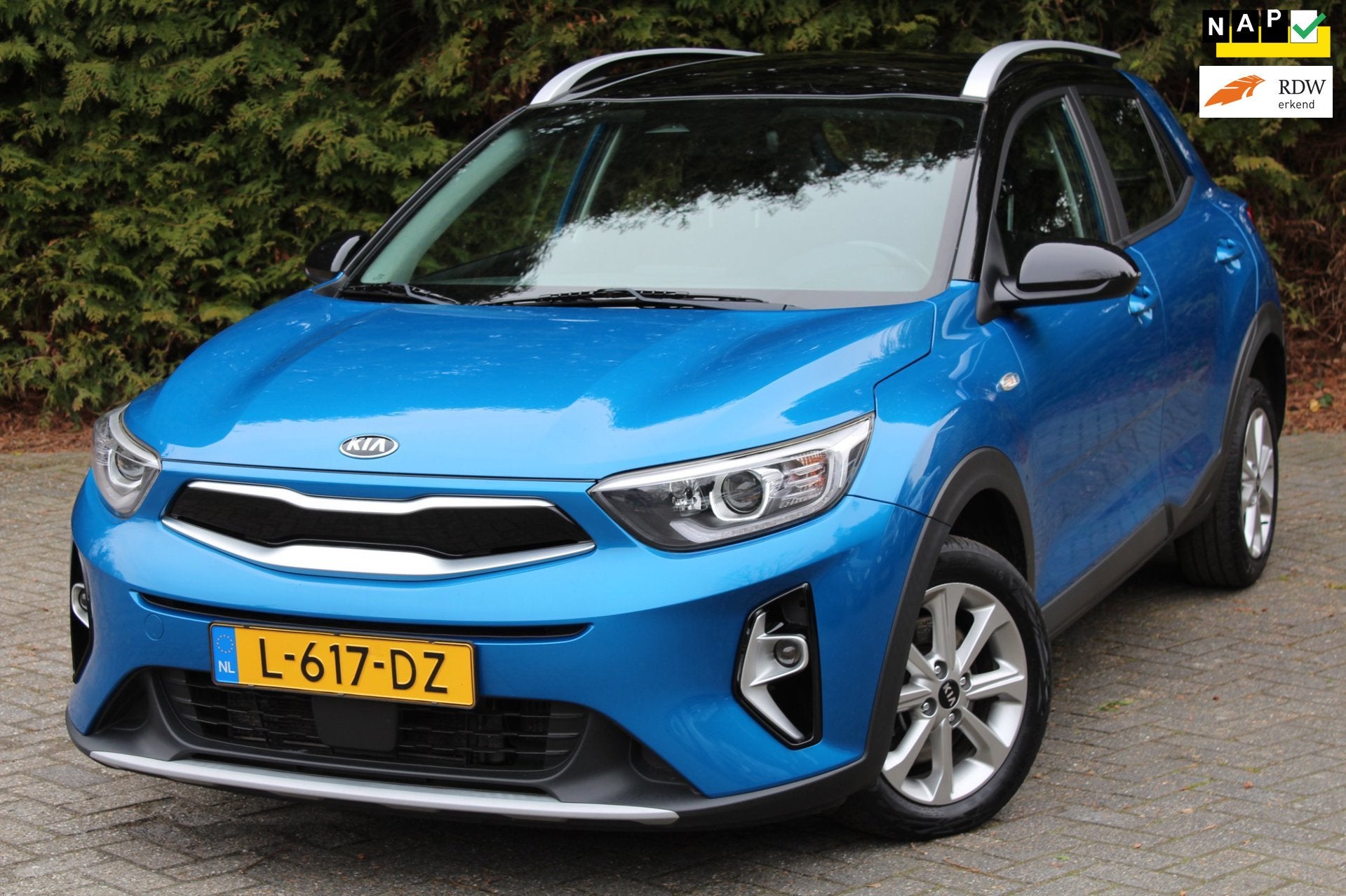 Kia Stonic 1.0 T-GDi MHEV DynamicLine 100PK | Parkeercamera, Auto's, Voorwielaandrijving, Dealer onderhouden, 450 kg, Gebruikt