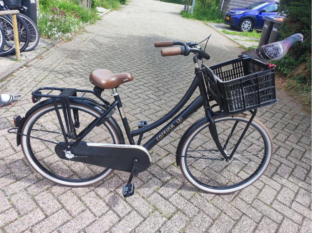 2 maal Cortina U4 meisjes 26 en 1 Cortina U4 meisjes 24 inch, Fietsen en Brommers, Fietsen | Meisjes, Terugtraprem, Niet ingevuld