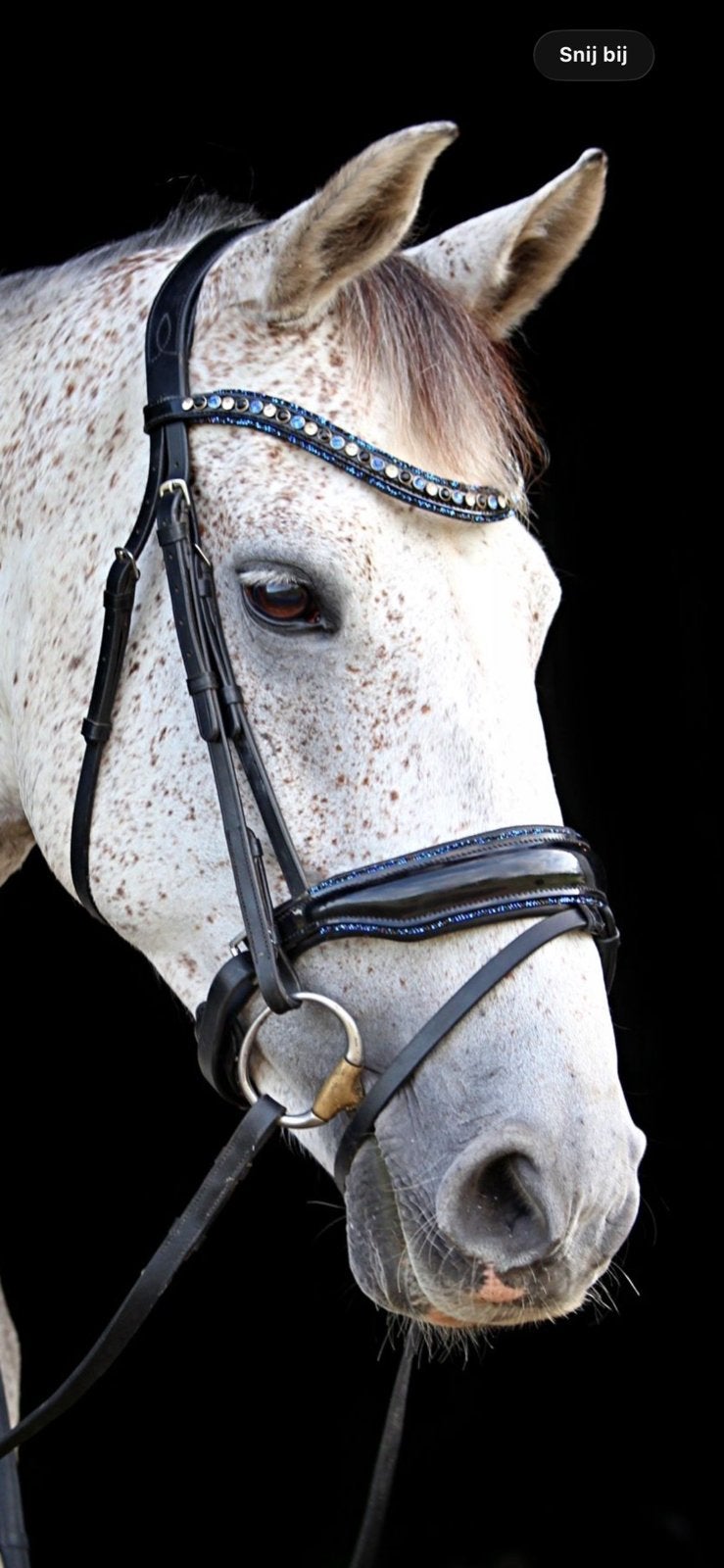 Super mooi showtime hoofdstel te koop!, Dieren en Toebehoren, Hoofdstel, Ophalen of Verzenden, Full, Overige merken