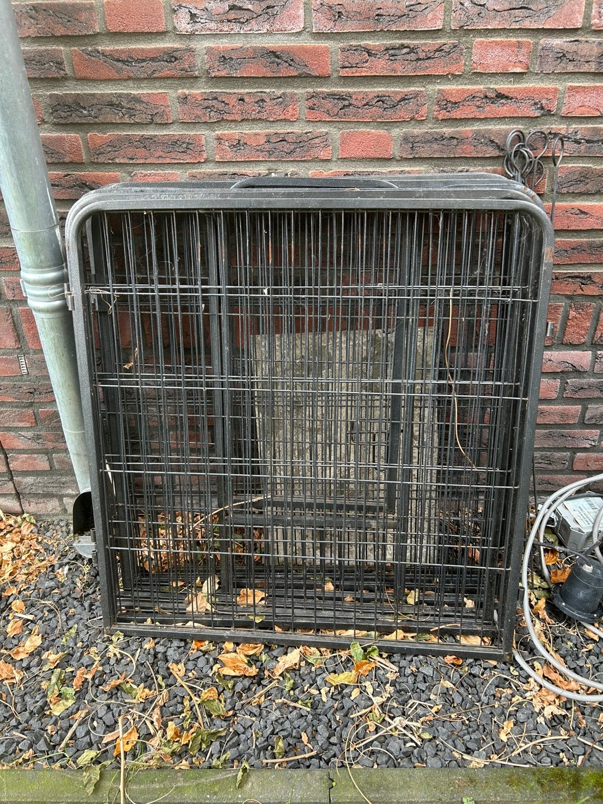 Puppyren 8-delig, Dieren en Toebehoren, Ophalen, Gebruikt, 110 cm of meer, 65 tot 100 cm