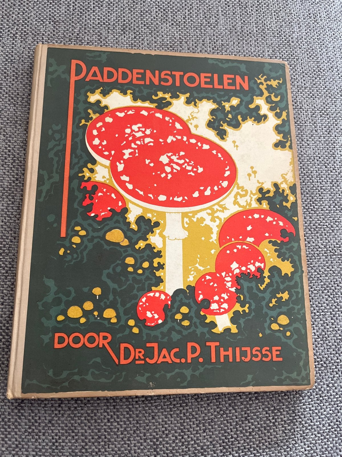 Paddenstoelen door Dr. Jac. P. Thijsse - Zeldzaam Natuurboek, Boeken, Ophalen of Verzenden, Gelezen, Natuur algemeen