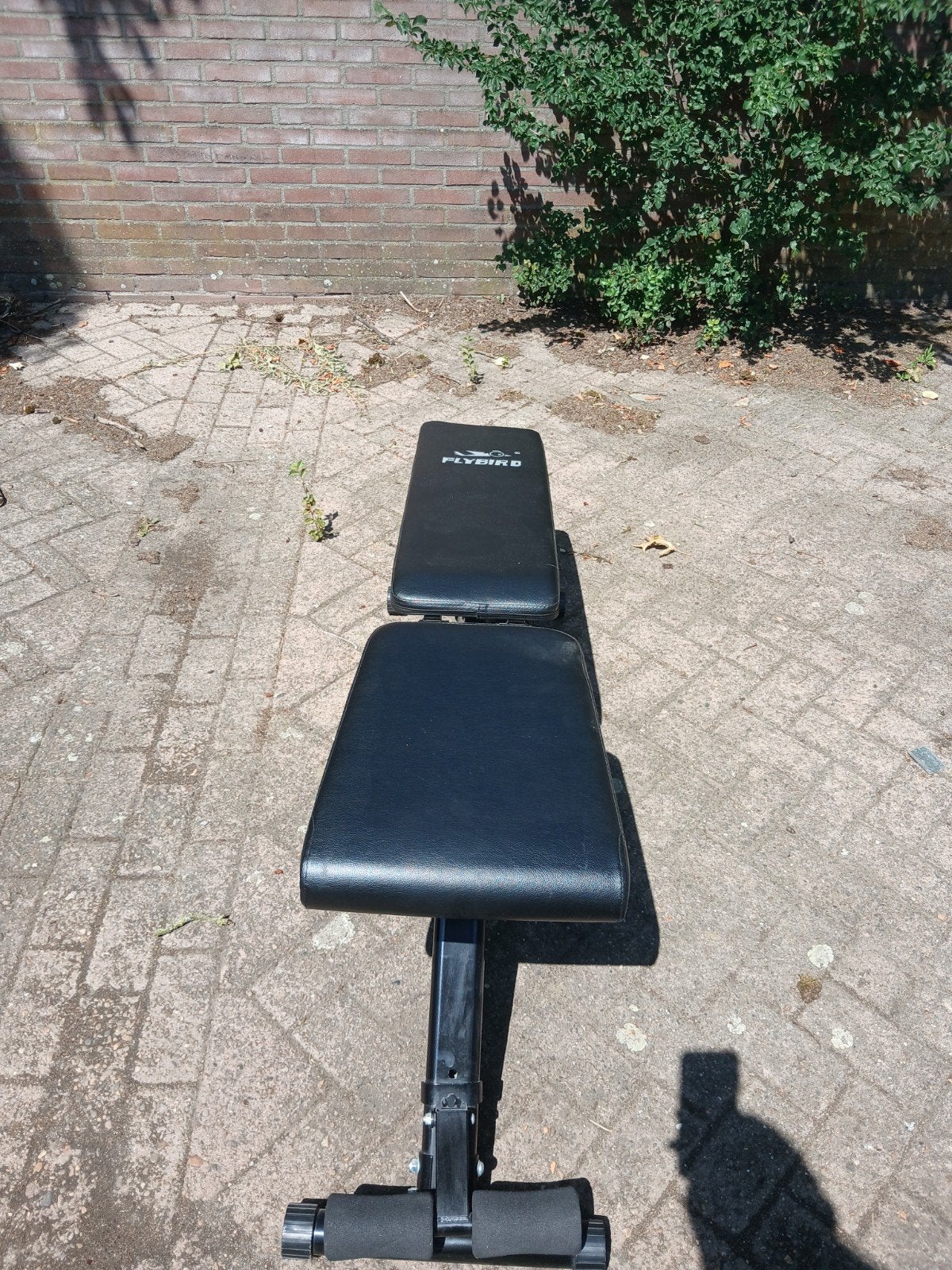 Flybird Verstelbare Fitnessbank - Opvouwbaar & Compact, Ophalen
