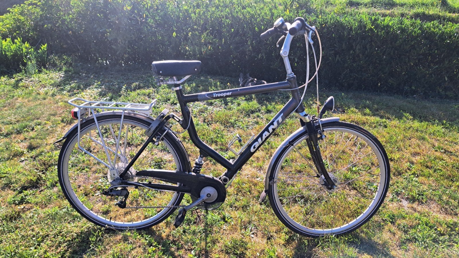 Giant Trooper fiets - Robuust en comfortabel, Ophalen, Gebruikt, Giant, Versnellingen