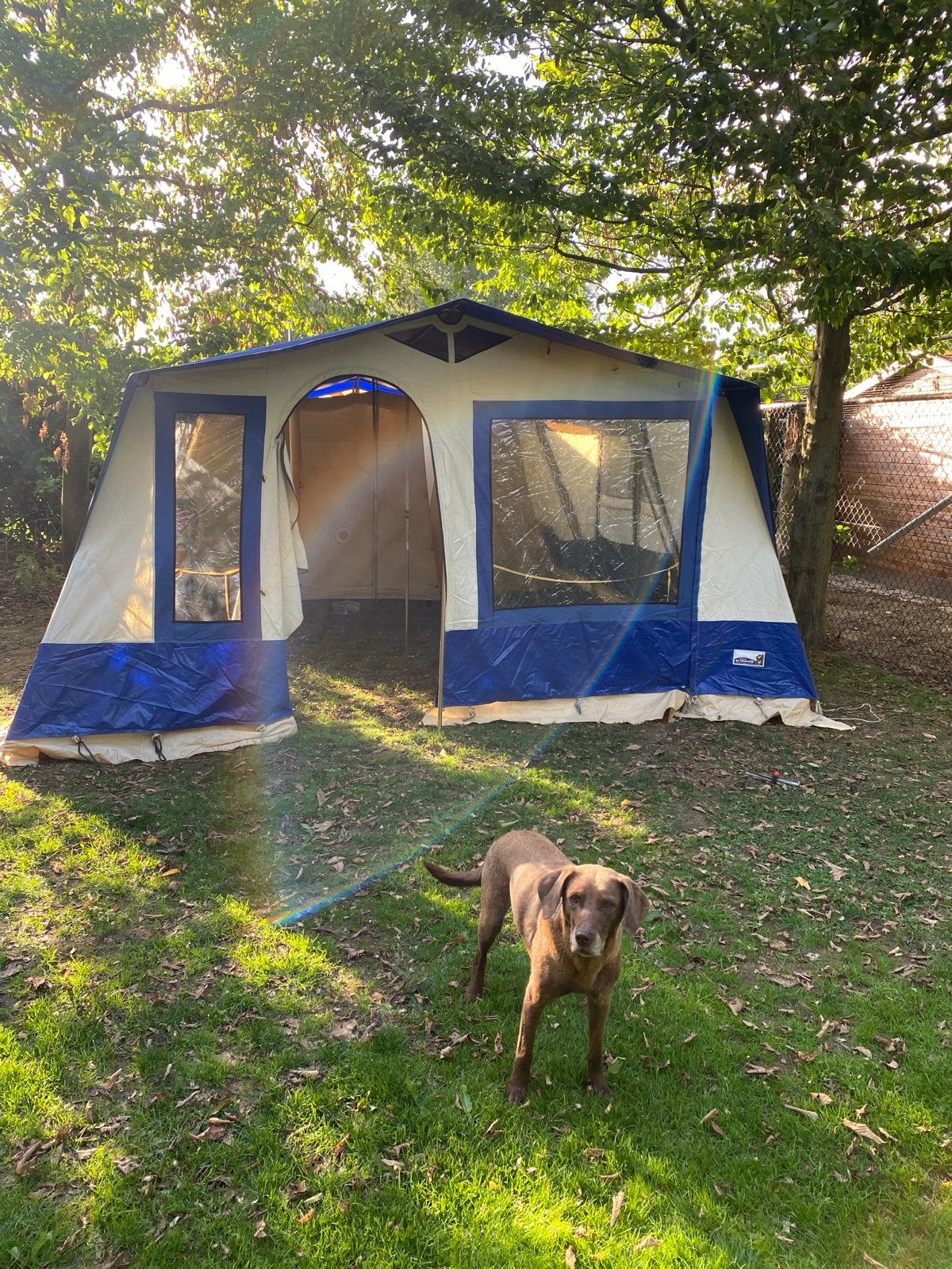 Bungalowtent 6-persoons met 3 slaapcabines, Ophalen, Gebruikt, Tot en met 6