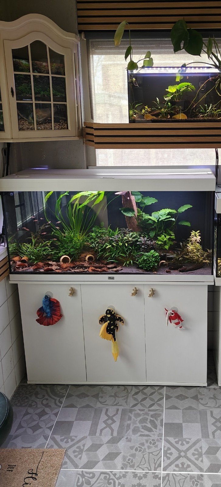 Aquatlantis splendid 120 Aquarium, Ophalen, Zo goed als nieuw, Leeg aquarium