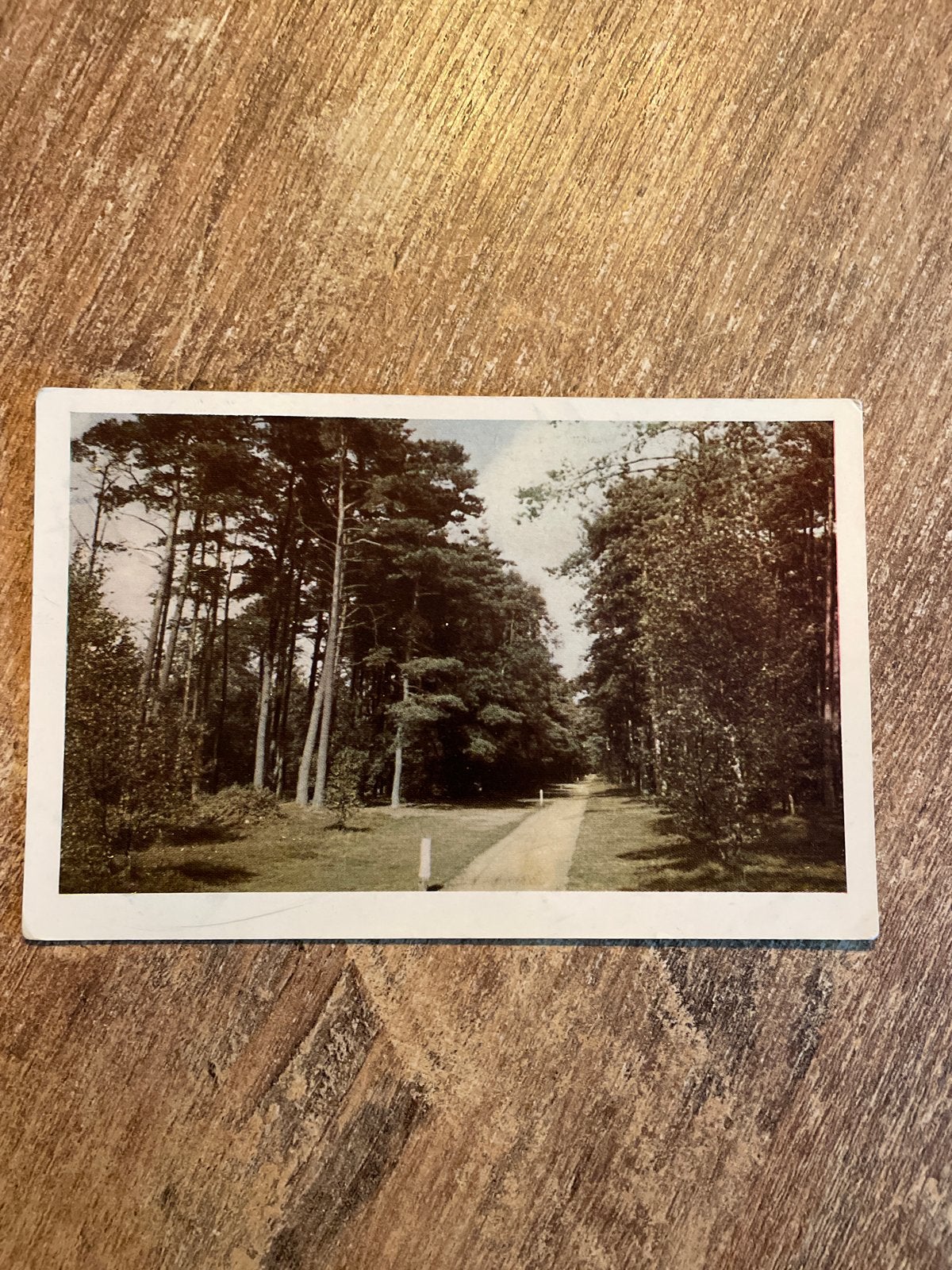 Vintage Ansichtkaart Vakantieoord Runa Voorthuizen, Ophalen of Verzenden, 1960 tot 1980, Gelopen, Gelderland
