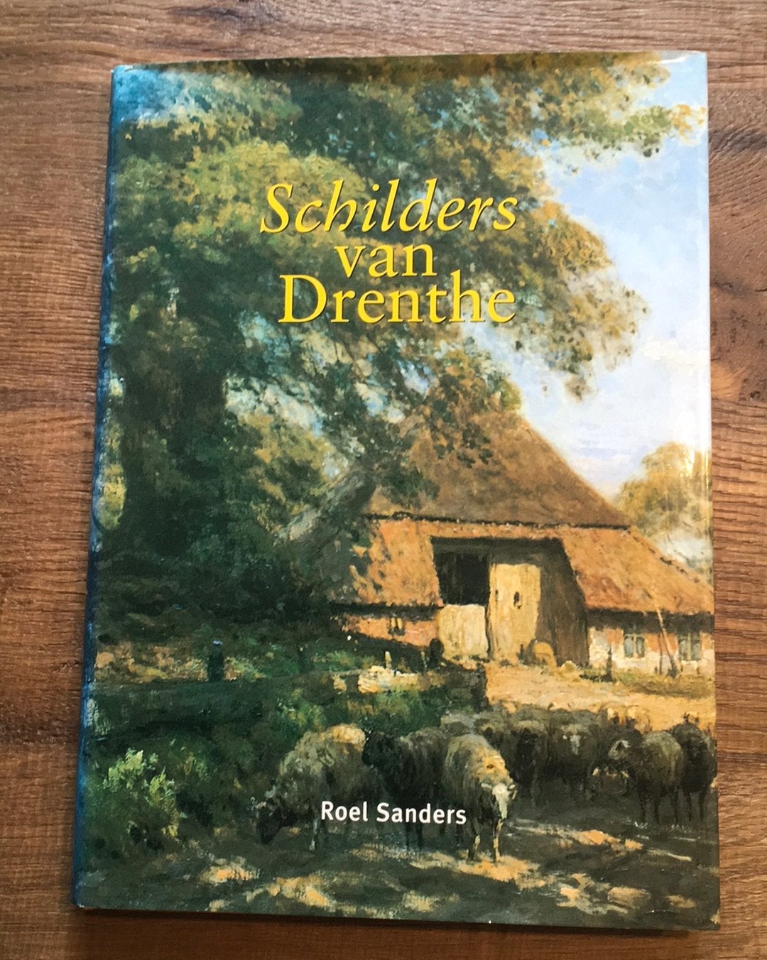 Roel Sanders: Schilders van Drenthe, Boeken, Ophalen of Verzenden, Gelezen