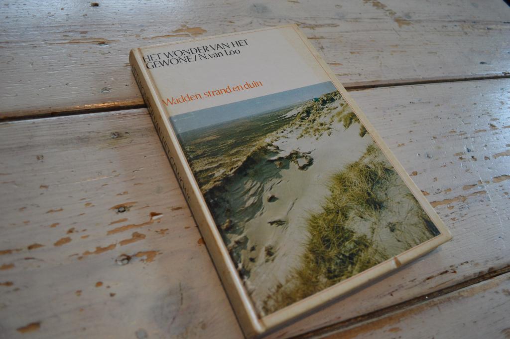 🌊 Wadden strand en duin - Het wonder van het gewone, Boeken, Natuur, Ophalen of Verzenden, Gelezen, Natuur algemeen
