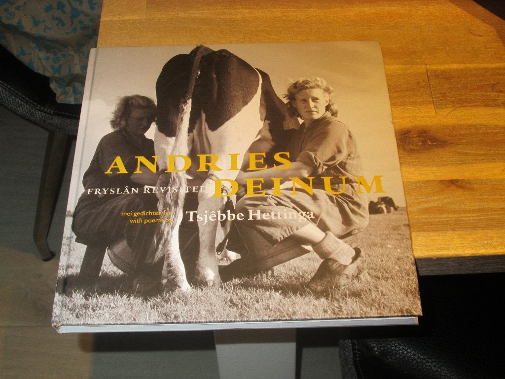 Andries Deinum: Fryslân Revisited - Fotoboek, Tsjêbbe Hettinga, Fotografie algemeen, Nieuw, Ophalen of Verzenden