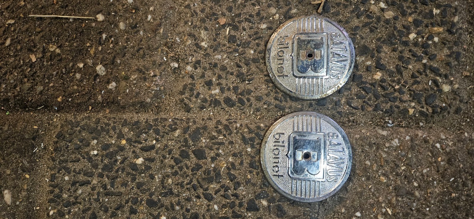 2 Batavus Bilonet emblemen in goede staat, Ophalen of Verzenden, Gebruikt, Overige typen, Batavus