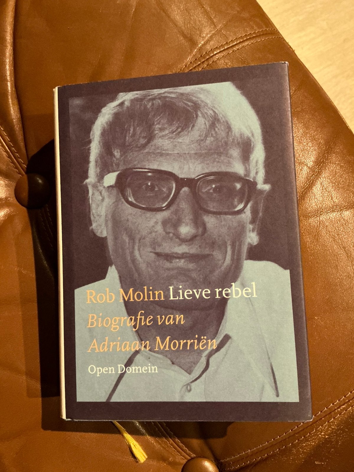 R.MOLIN.  LIEVE REBEL., Ophalen of Verzenden, Gelezen, Overige