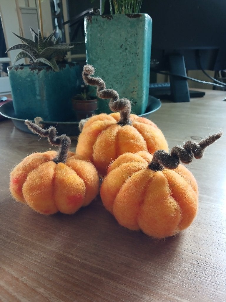 Genaaldvilte pompoenen, schapenwol, naaldvilten., Ophalen of Verzenden, Nieuw, Figuurtje(s), Wolvilt