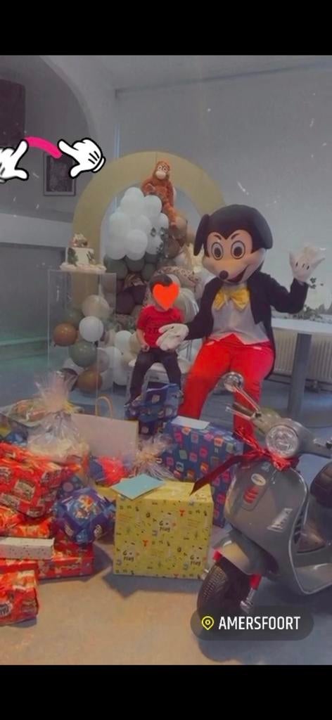 Mickey mouse en minnie mouse mascotte te huur, Ophalen of Verzenden, Zo goed als nieuw, Verjaardag