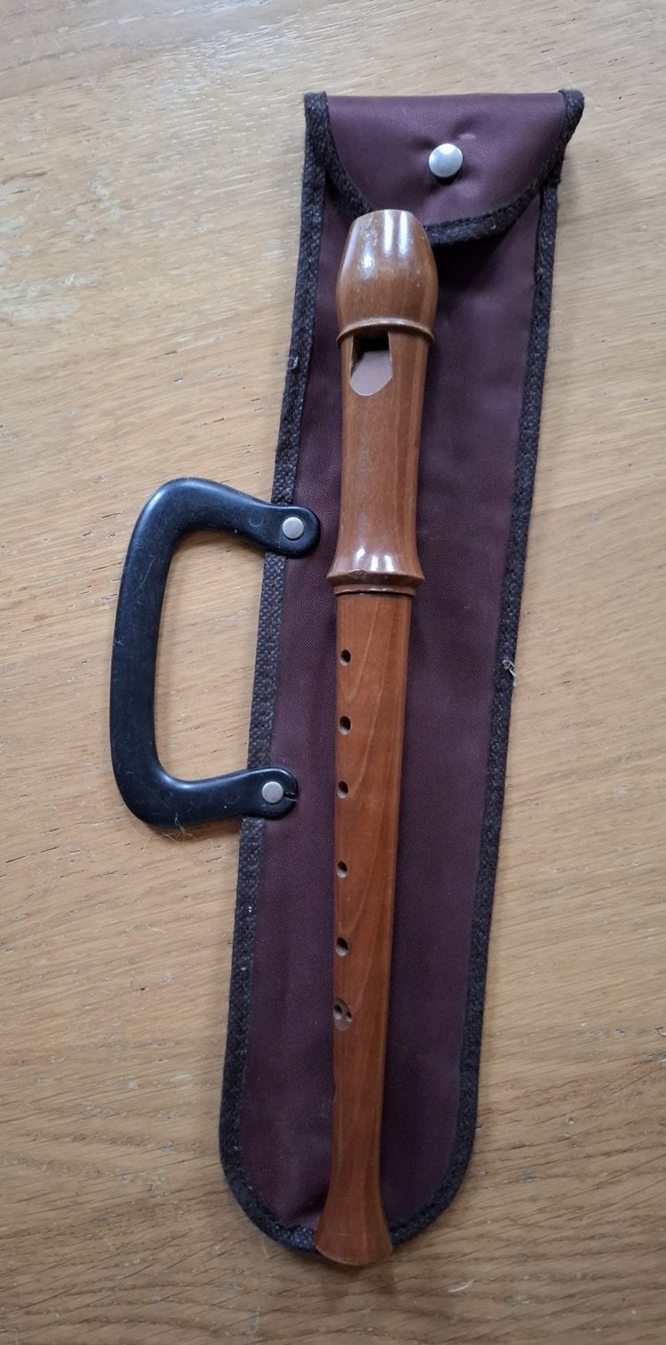 Houten blokfluit met etui, Ophalen of Verzenden, Gebruikt, Sopraan of Sopranino, Met koffer, hoes of etui