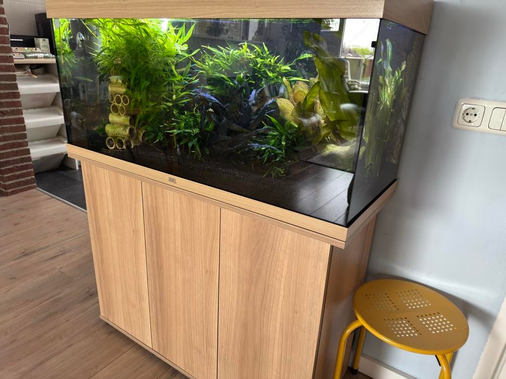 Juwel Rio 180 met inhoud te koop, Ophalen, Zo goed als nieuw, Gevuld zoetwateraquarium