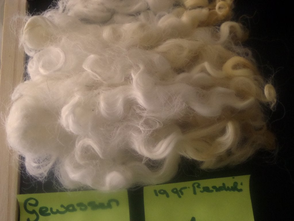 Gewassen  Mooie  Lams golvende Wol lokjes Popjes/Vilten, Ophalen of Verzenden, Nieuw, Natuurlijk materiaal, Wit