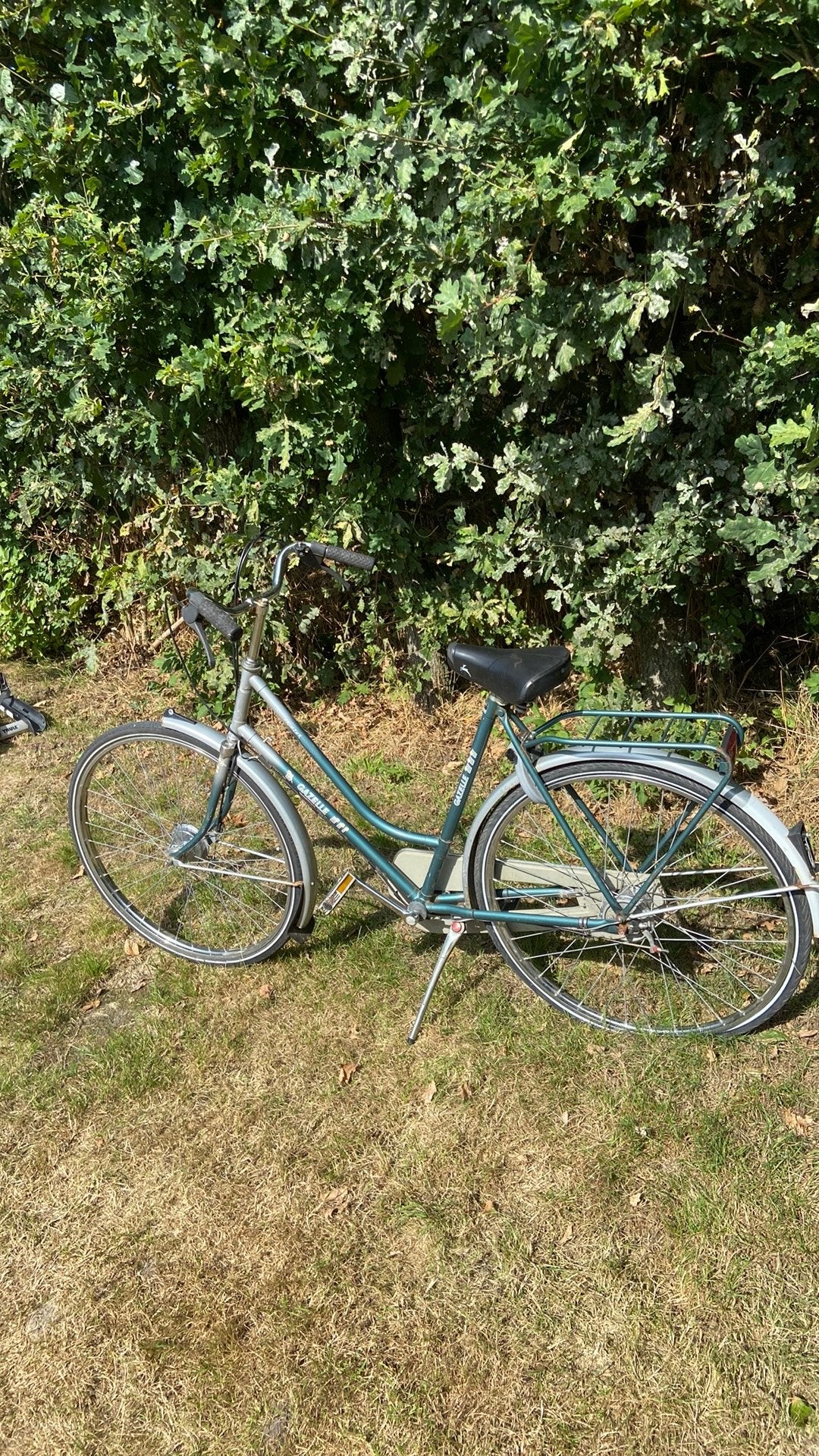 Te koop gazelle damesfiets, Ophalen, Gebruikt