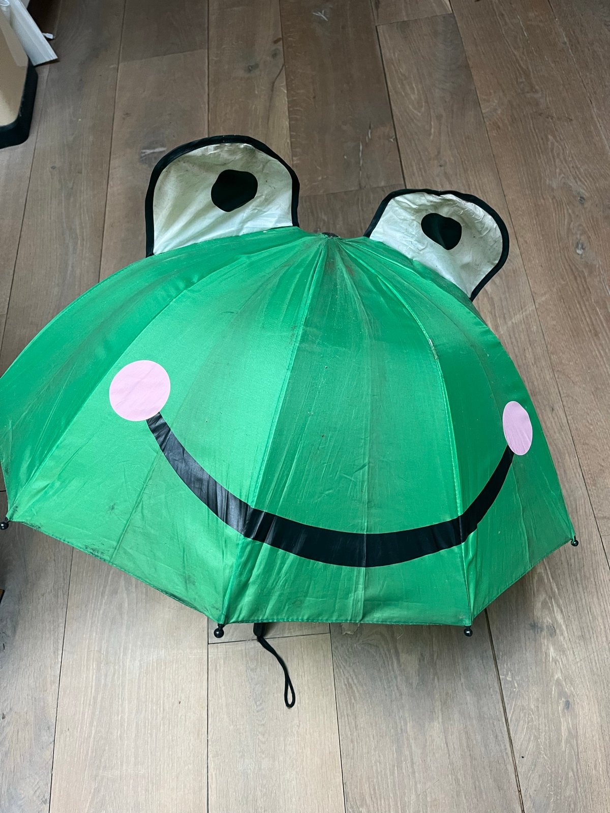 Leuke groene paraplu in de vorm van een kikker, Sieraden, Tassen en Uiterlijk, Paraplu's, Ophalen of Verzenden, Gebruikt, Groen