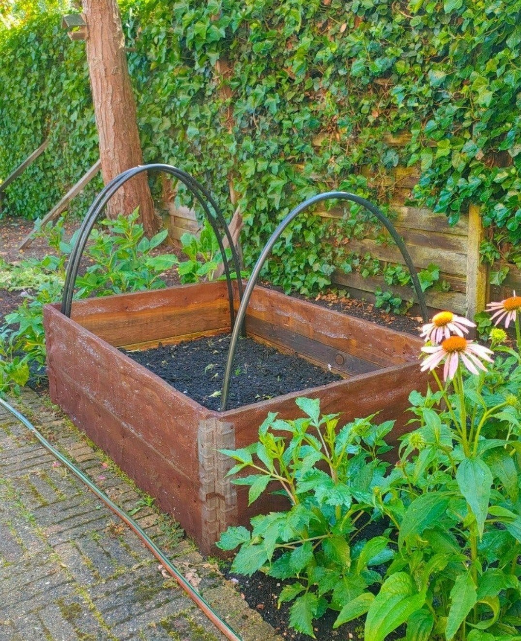 Moestuinbak gratis, Tuin en Terras, Ophalen, Rechthoekig, Hout, 60 cm of meer
