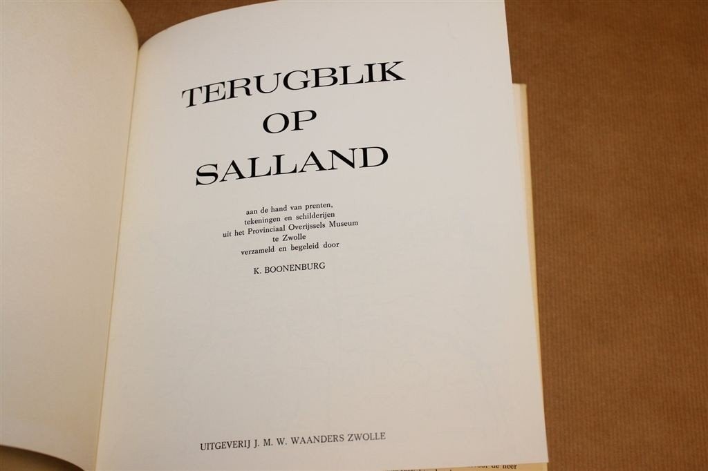 Terugblik op Salland — Catalogus Prenten en Schilderijen, Boeken, Geschiedenis | Stad en Regio, Ophalen of Verzenden, Gelezen