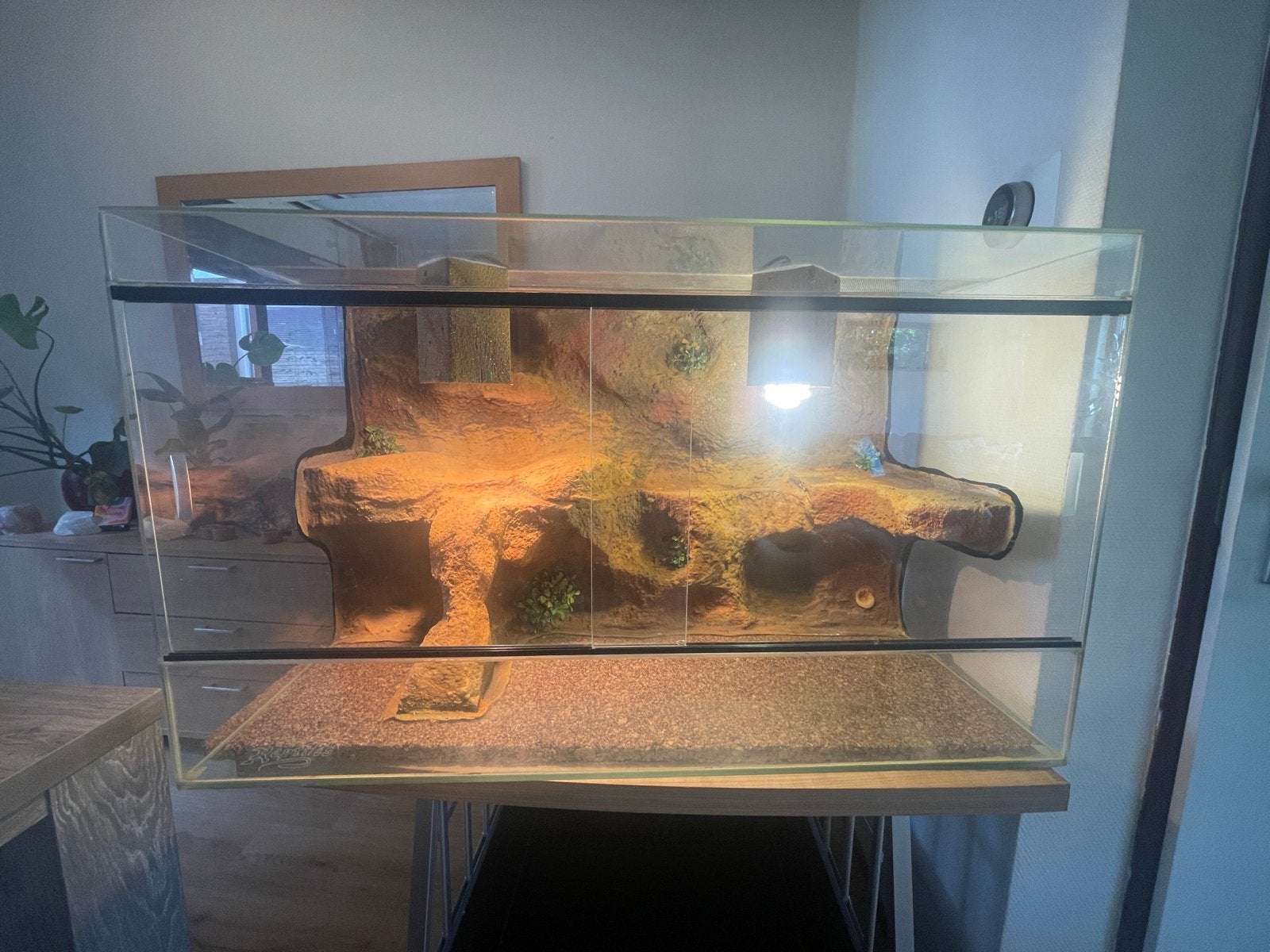 Luxe terrarium 95,56,54, Dieren en Toebehoren, Reptielen en Amfibieën | Toebehoren, Ophalen, Gebruikt, Terrarium of Paludarium
