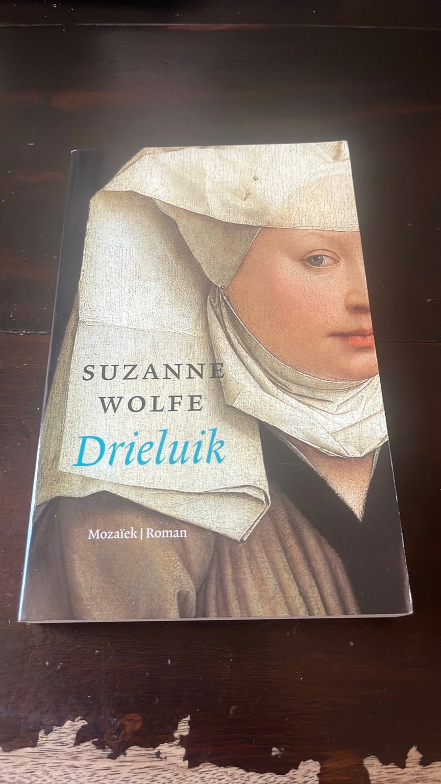 Drieluik - Suzanne Wolfe (Roman), Boeken, Romans, Zo goed als nieuw, Nederland, Ophalen of Verzenden