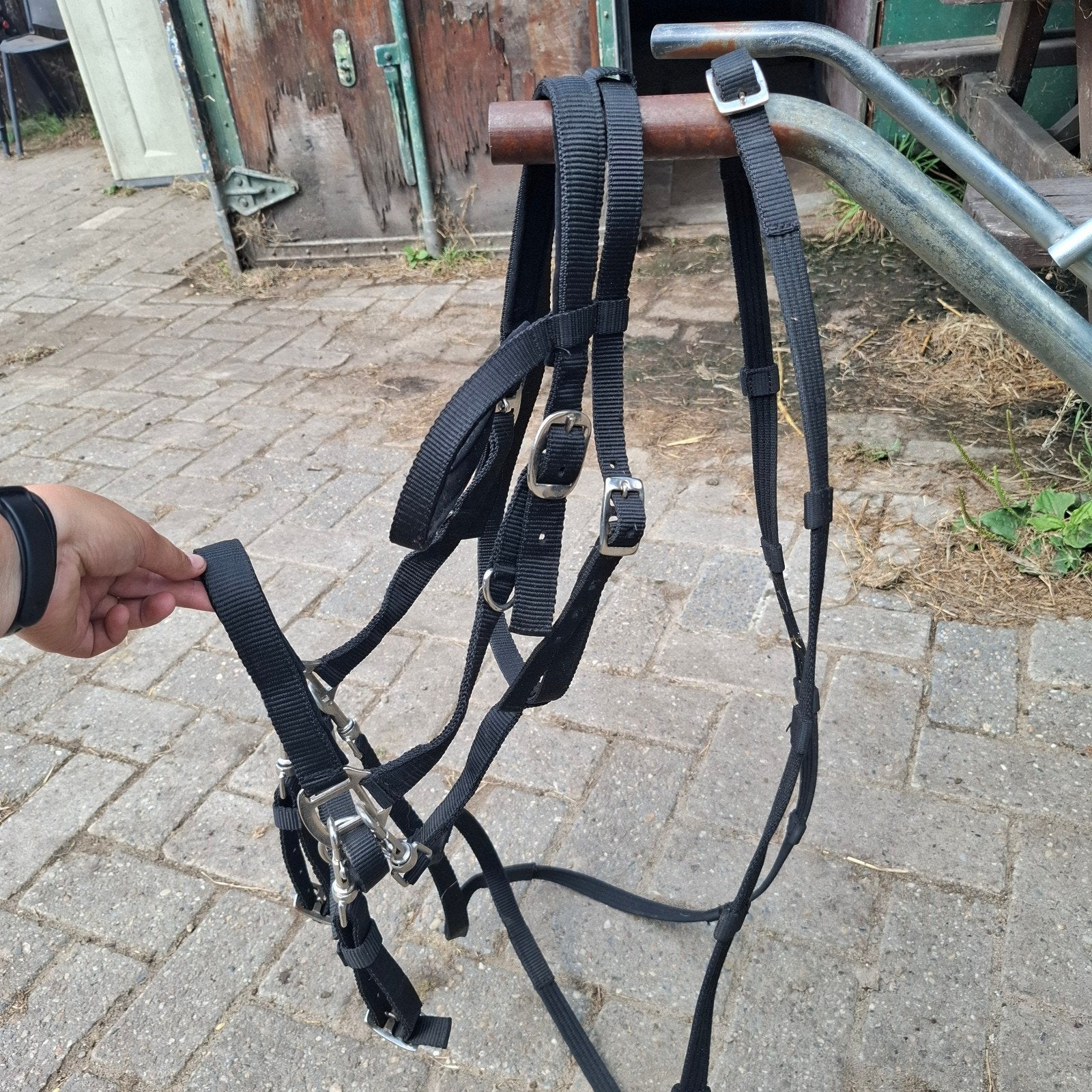 Halster hoofdstel Full, Hoofdstel, Recreatie, Harry's Horse, Ophalen of Verzenden