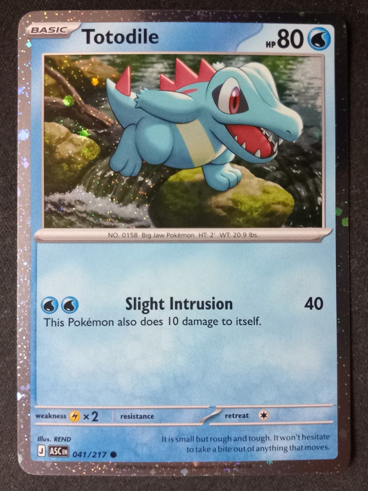 Totodile 041/217 Ascended Heroes Cosmos Promo NM, Verzenden, Zo goed als nieuw, Losse kaart, Foil