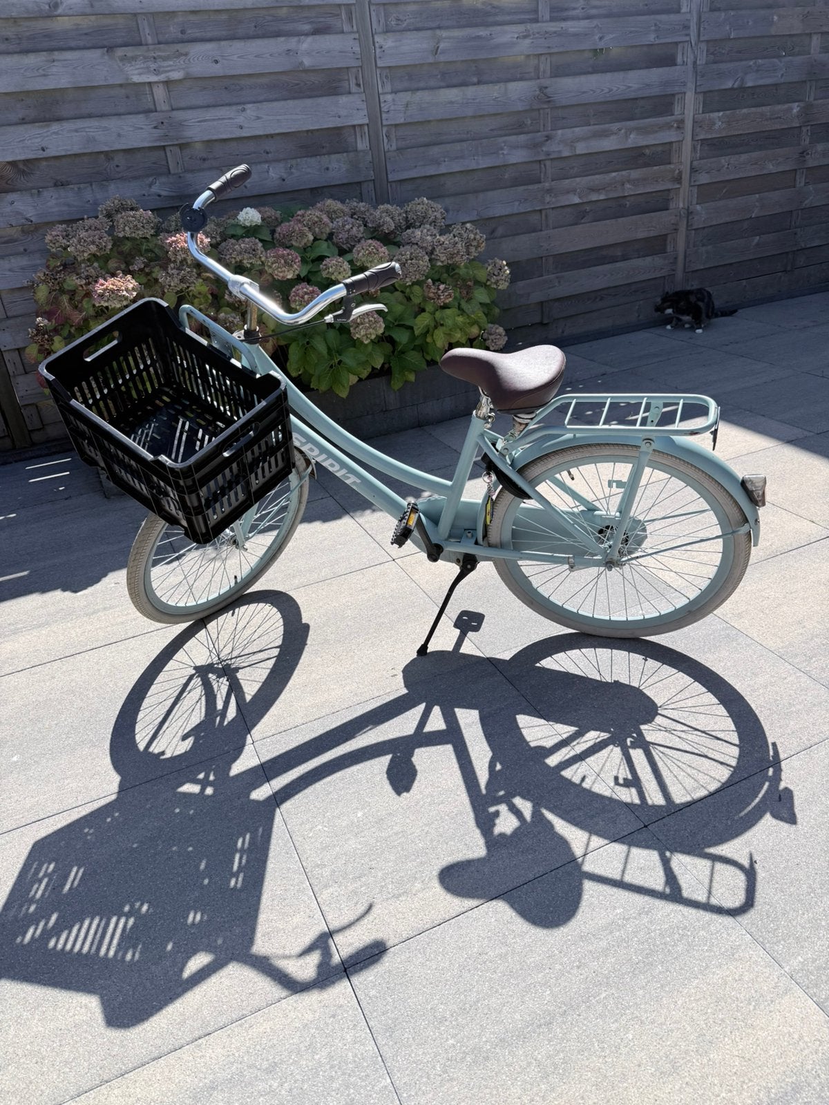 Meisjes fiets, Ophalen, Terugtraprem, Handrem, Gebruikt