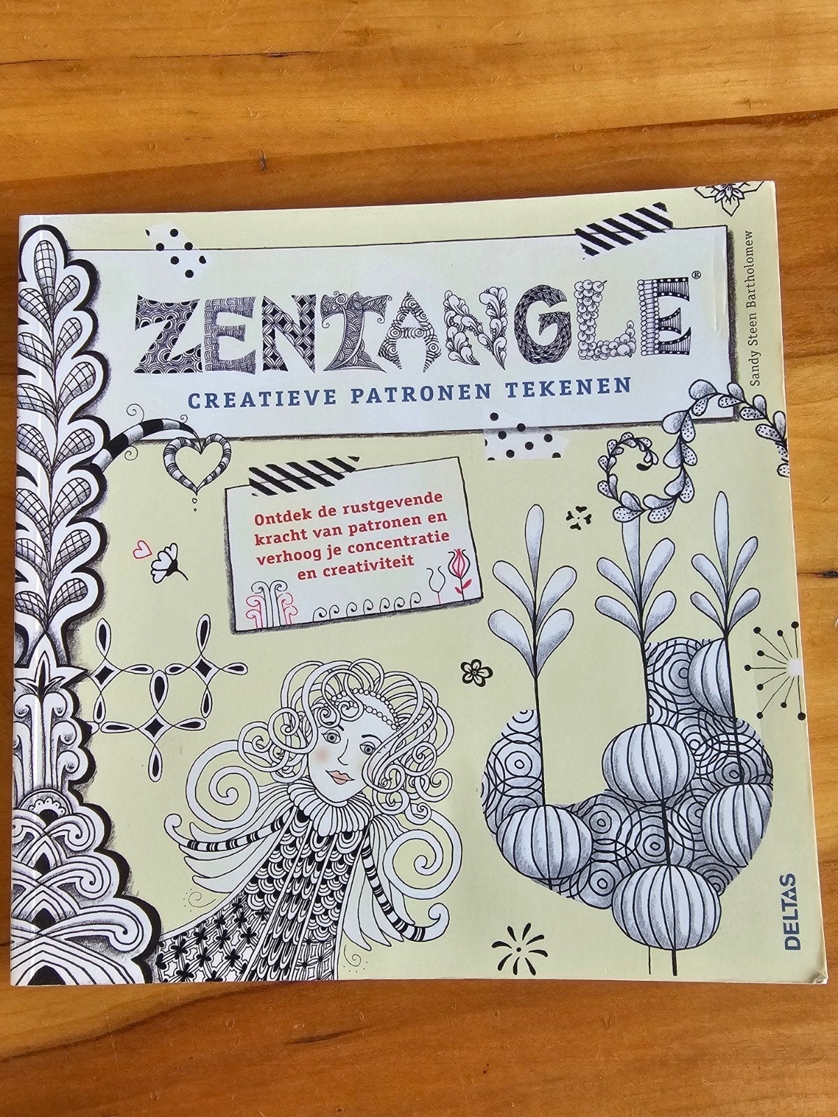 Zentangle: Creatieve patronen tekenen - Ontspanning & Kunst, Hobby en Vrije tijd, Tekenen, Ophalen of Verzenden, Zo goed als nieuw
