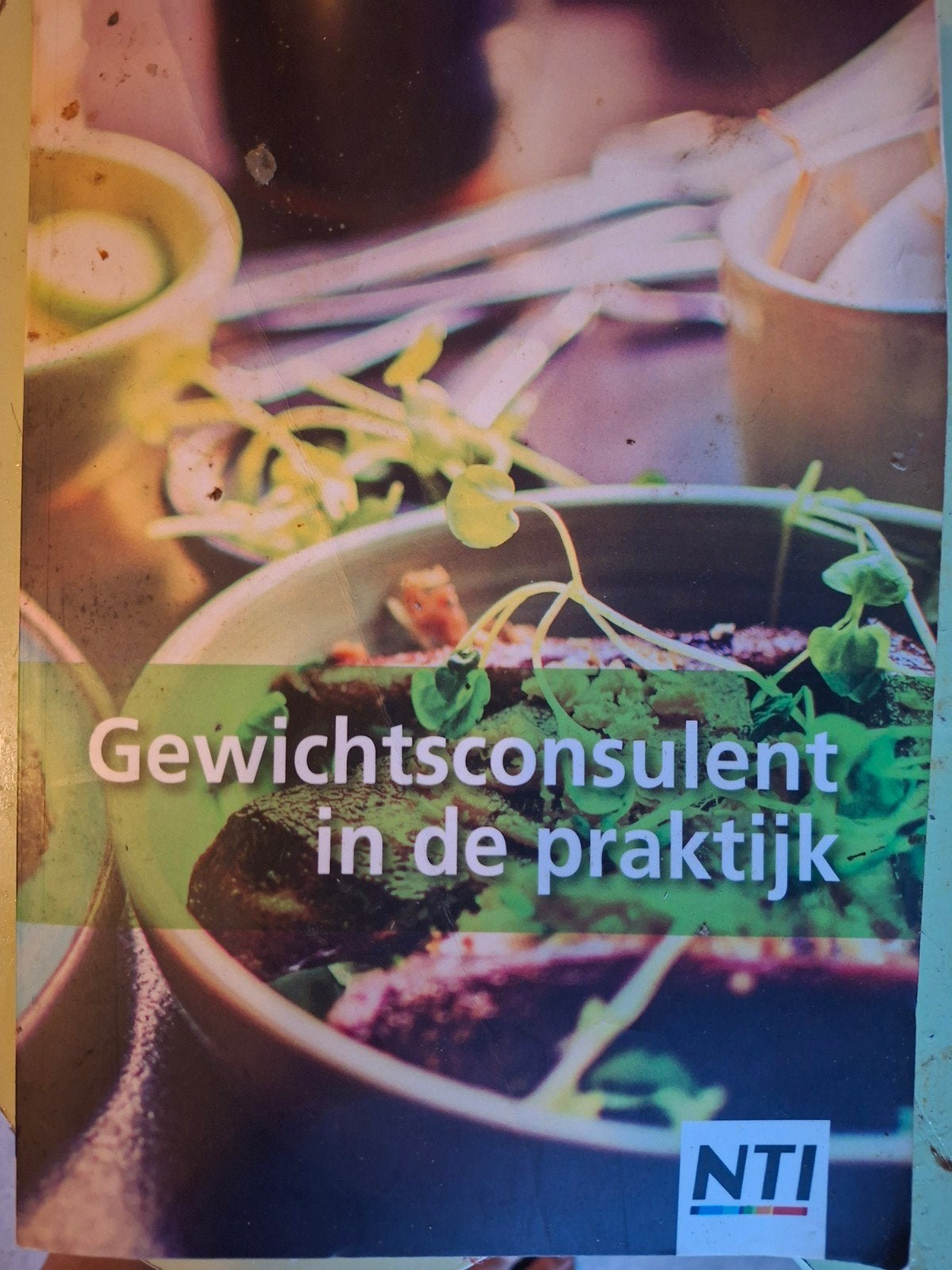 Diverse studieboeken: SPW, Kapper, Psychologie, Historie, Ophalen of Verzenden