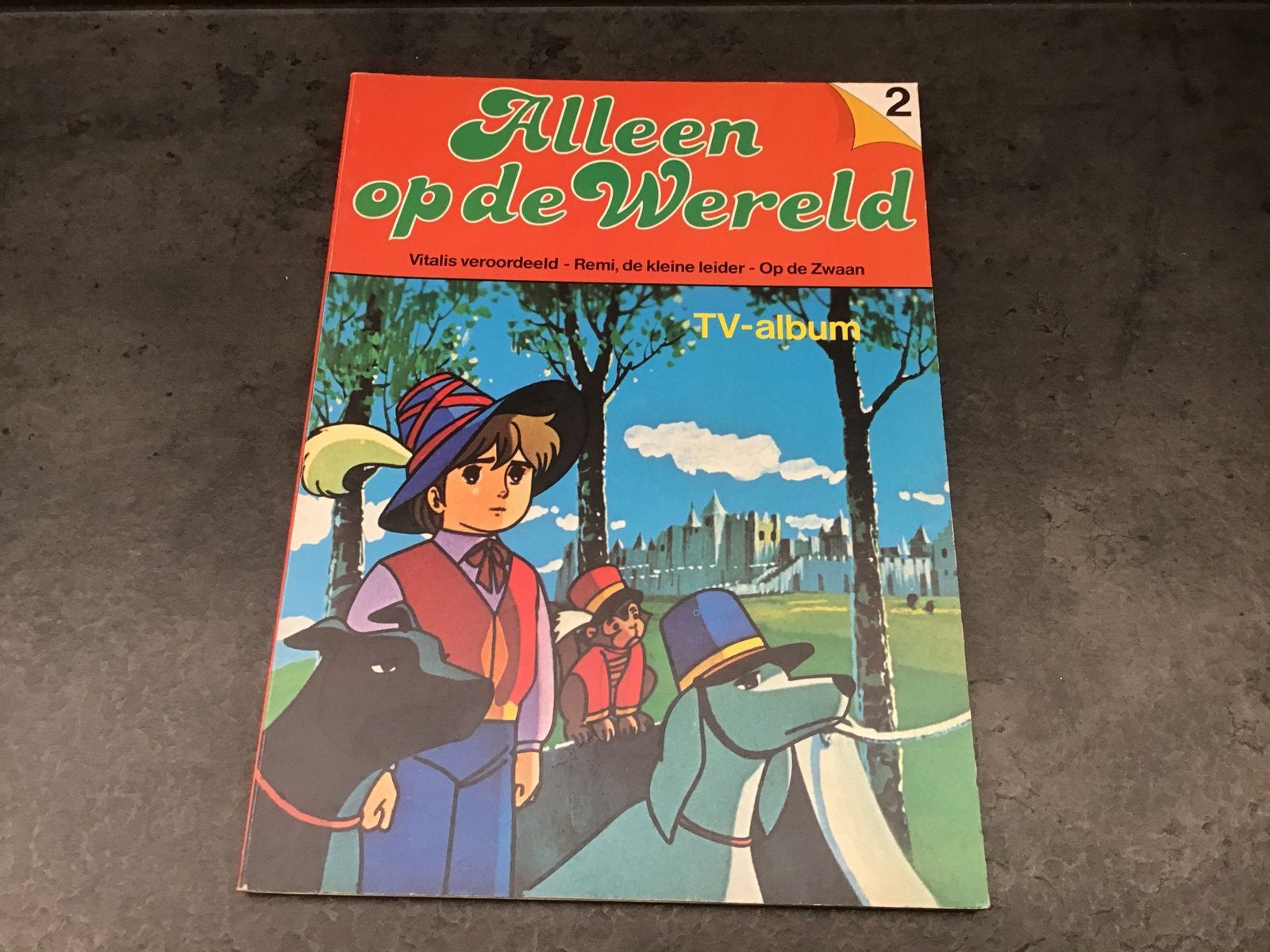 Boek “alleen op de wereld. 2,, Ophalen of Verzenden, Zo goed als nieuw