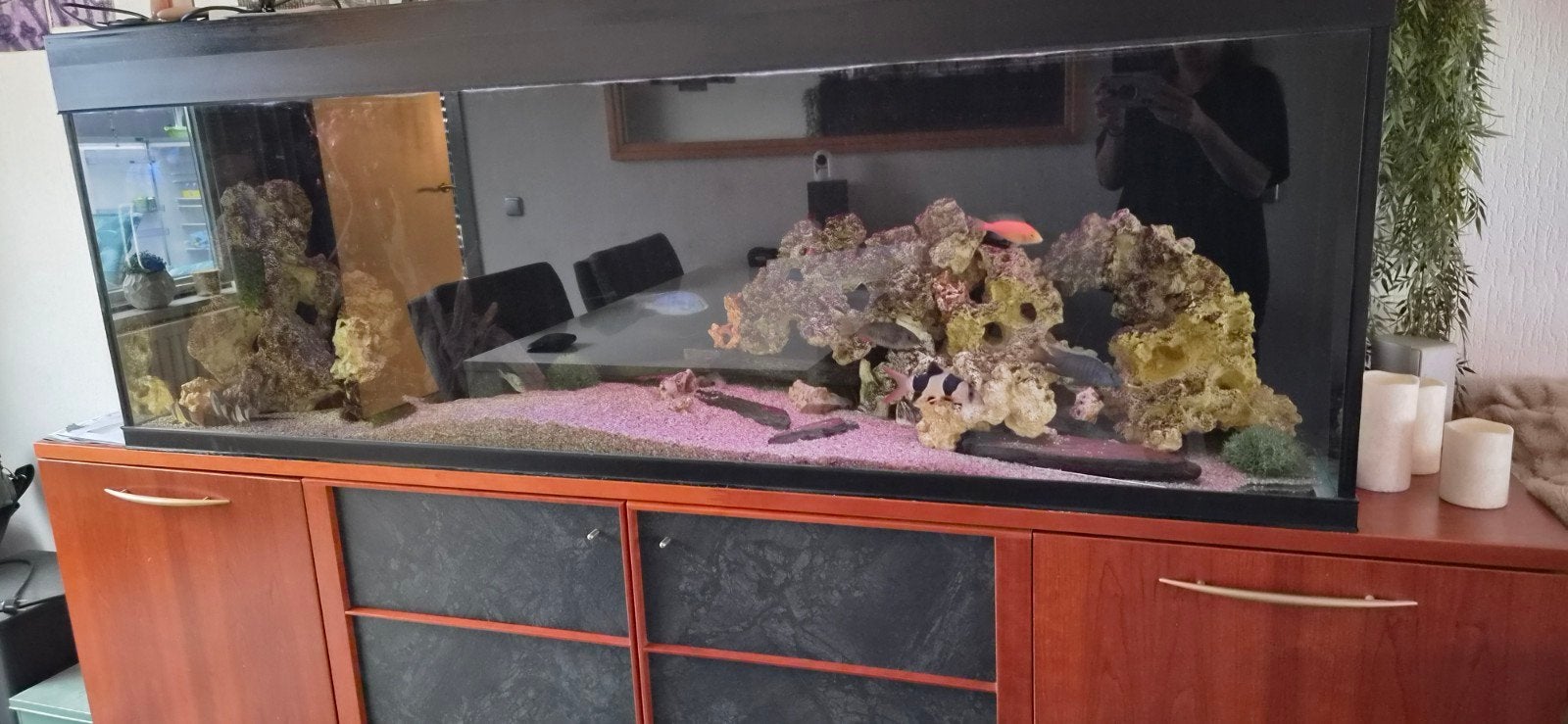 te koop aquarium 2 meter, Dieren en Toebehoren, Ophalen, Inclusief deksel