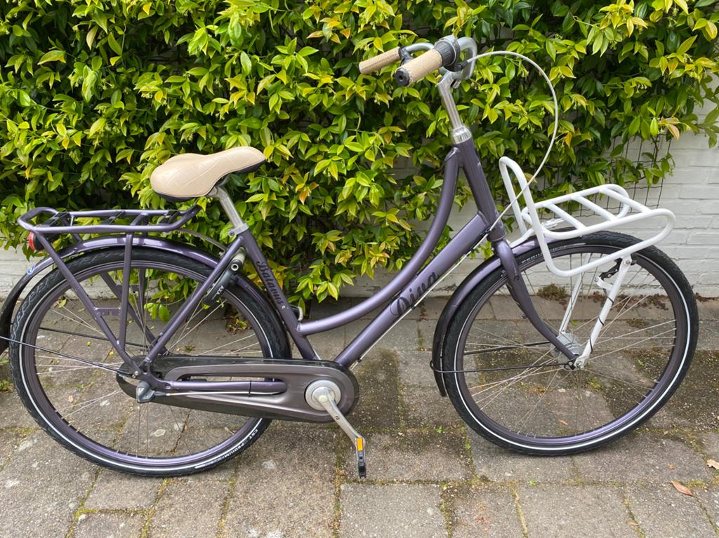 Batavus Diva damesfiets, Ophalen, Terugtraprem, 47 tot 50 cm, Versnellingen