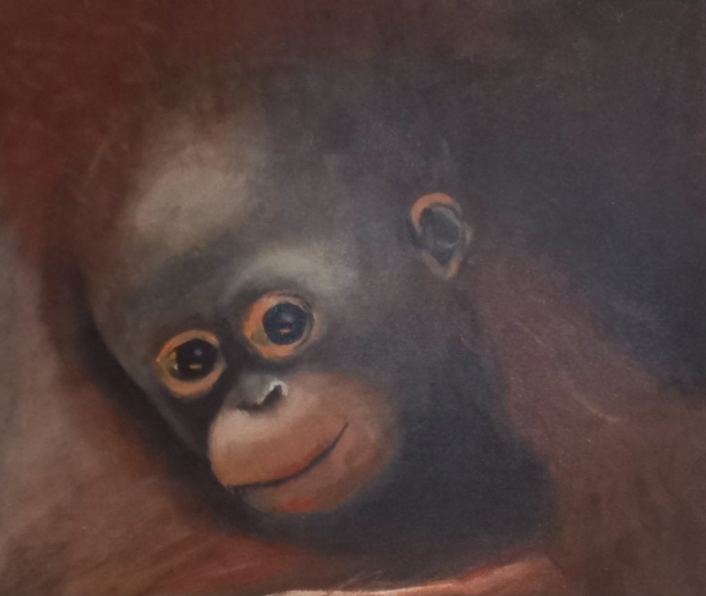 Oerang-oetang met jong apen aap schilderij dieren @DOC61, Ophalen, 50 – 75, Oorspronkelijke maker, Zo goed als nieuw
