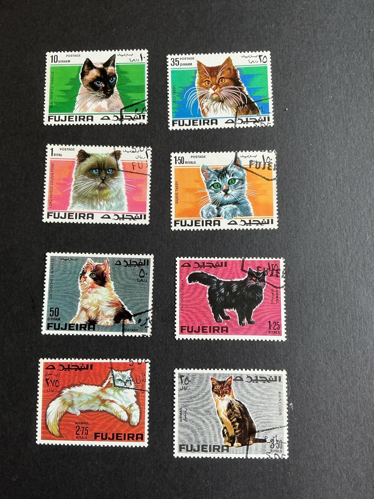 Katzen cats Fujairah - Katten (8 stuks), Verzenden, Gestempeld, Dier of Natuur