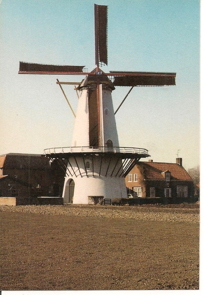 Ansichtkaart Molen 'De Lelie' Koudekerke (Gem. Valkenisse), Ophalen of Verzenden, 1980 tot heden, Ongelopen, Zeeland