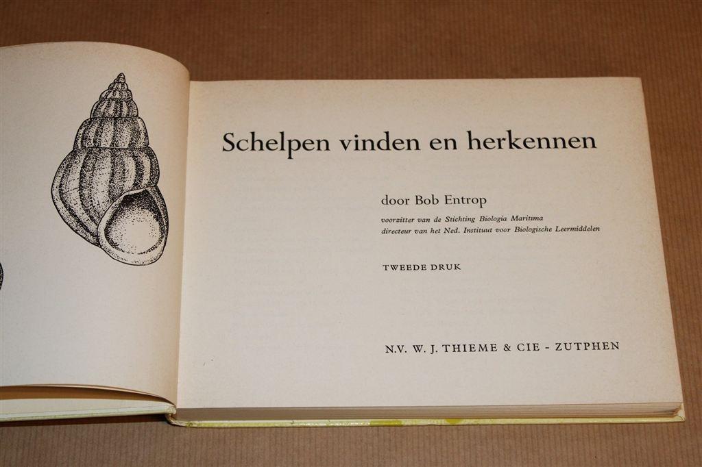 Schelpen Vinden & Herkennen — Dé Klassieke Gids [1965], Boeken, Natuur, Ophalen of Verzenden, Gelezen, Bloemen, Planten en Bomen