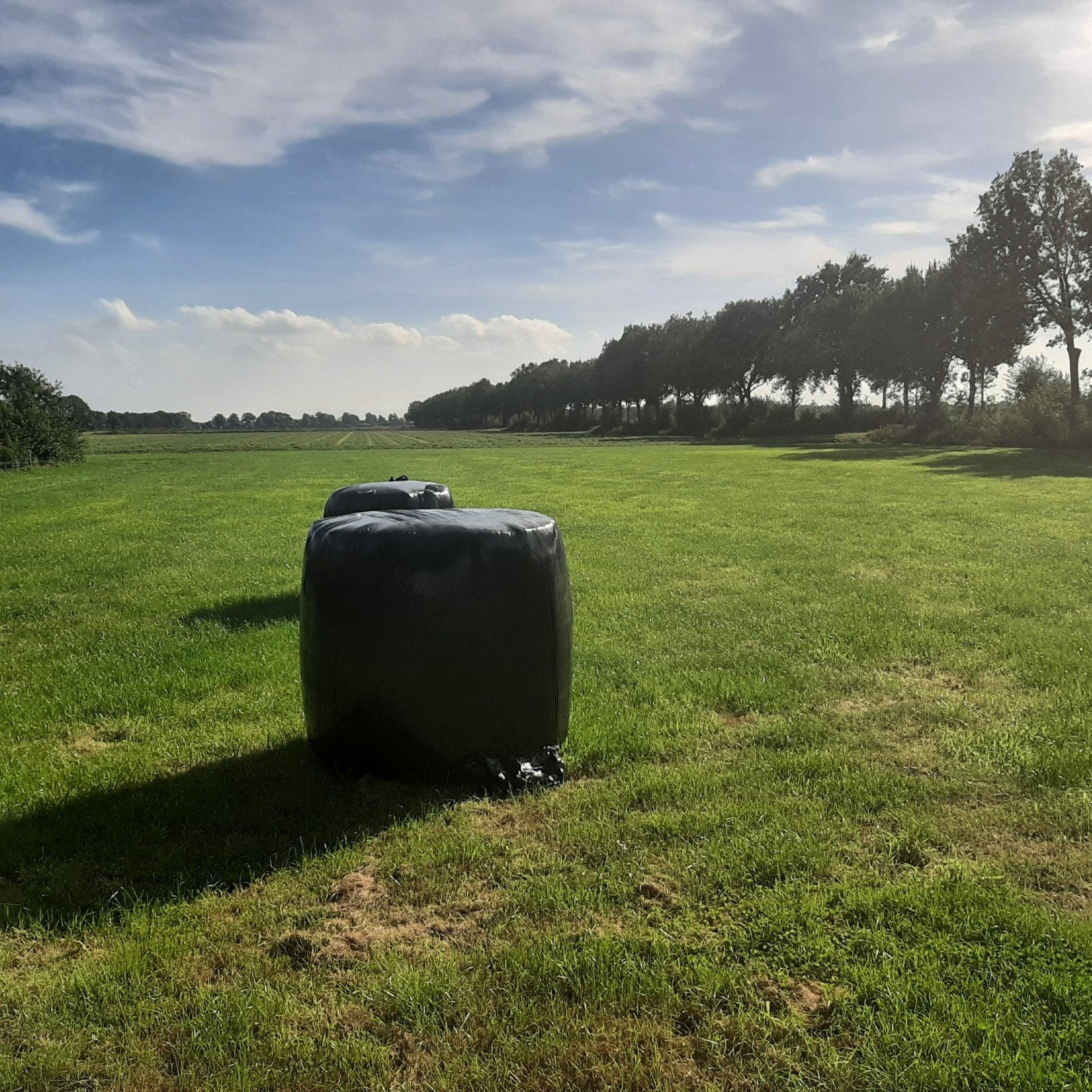 Ronde balen te koop - goede kwaliteit, Ophalen