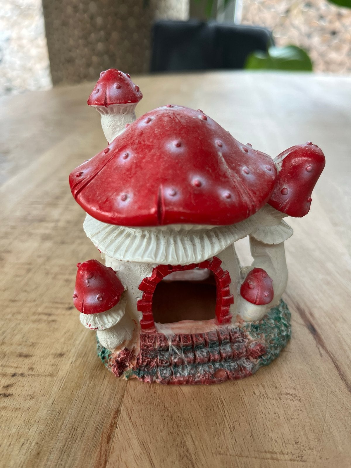 Decoratie voor aquarium of viskom, Ophalen of Verzenden, Plant(en), Steen of Hout