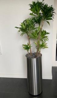 Set van 2 luxe aluminium plantenzuilen, Rond, Binnen, Zo goed als nieuw, Metaal