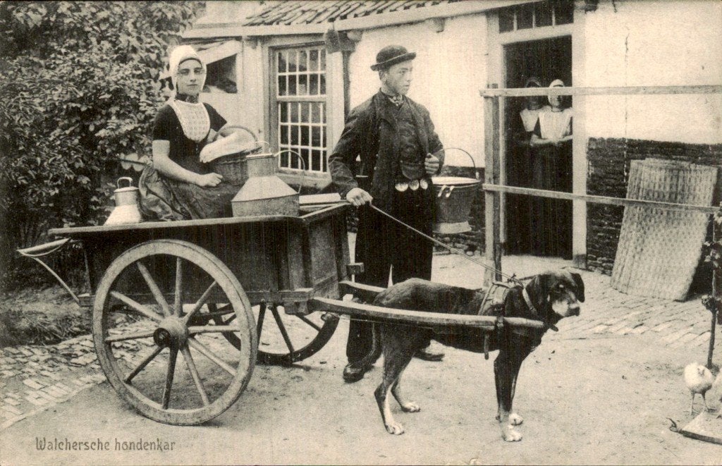 Middelburg - Hondenkar - Walchersche, Ophalen of Verzenden, Voor 1920, Gelopen, Zeeland