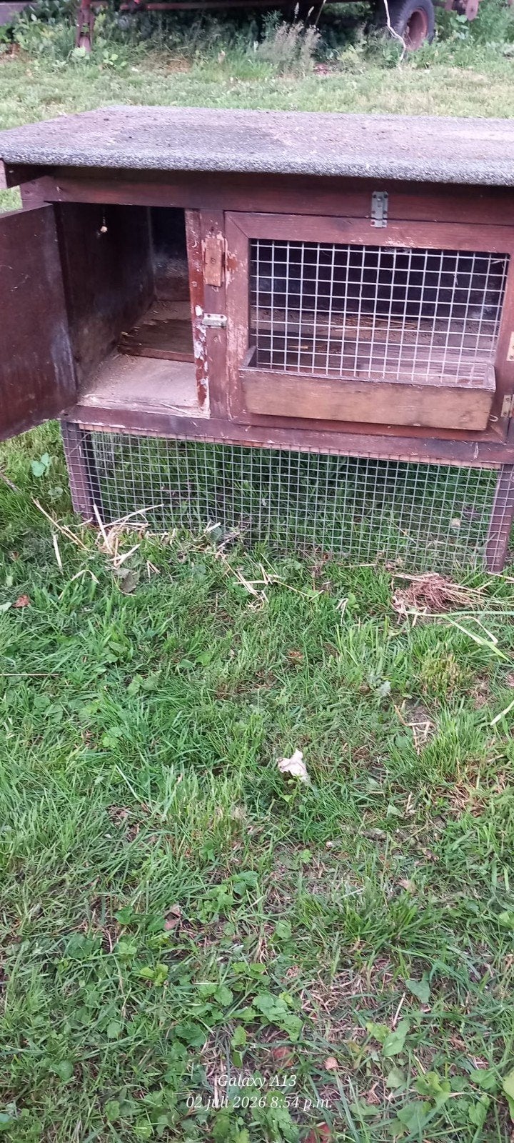 Konijnenhok, Dieren en Toebehoren, Ophalen, 90 cm of meer, Konijn, Hok