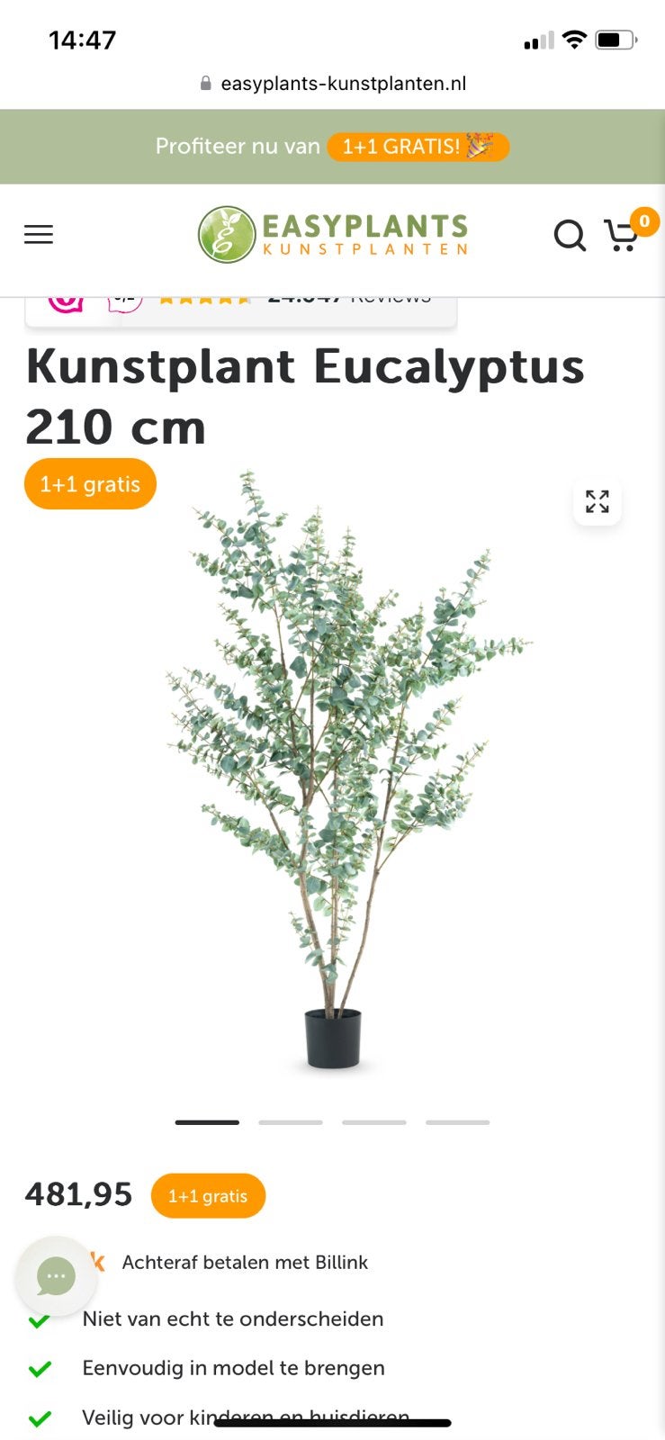 Kunstplant Eucalyptus 210cm 2,10 meter nieuw, Ophalen, Nieuw